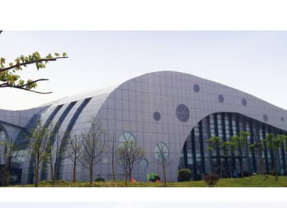 南岸会议中心外景网架工程
